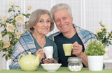 Senior couple drinking tea 