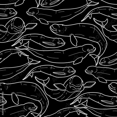 Graphic beluga whale pattern