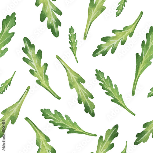 Watercolor seamless pattern hand drawn herb arugula .