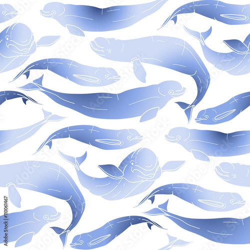Graphic beluga whale pattern