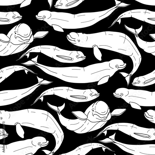 Grapnic beluga whale pattern