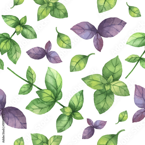 Watercolor vector seamless pattern hand drawn herb basil .