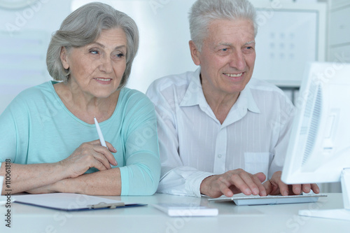 Senior couple with computer