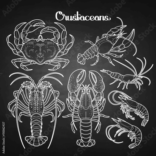 Graphic crustaceans collection