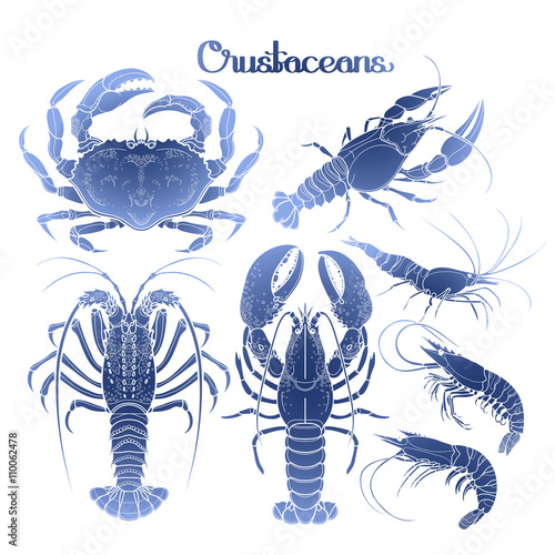 Graphic crustaceans collection