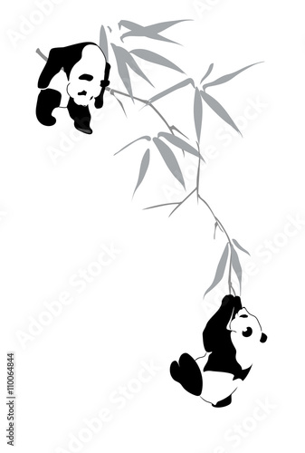 Pandas on bamboo branch