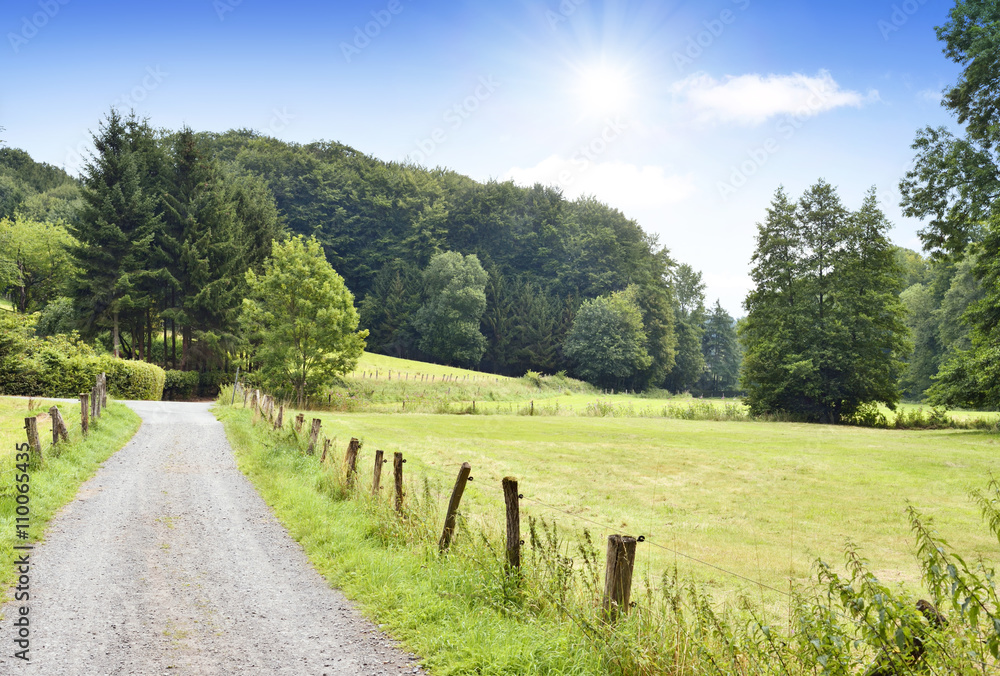 Idyllic country road in the sunset, with copy space and forest. Single lane road through fields and pastures, nature background. 
