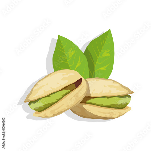Pistachio with leaves. Vector illustration.