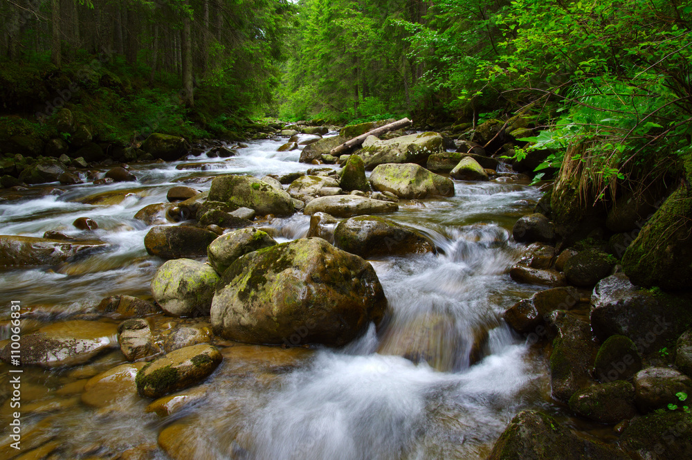 Mountain river in the green forest