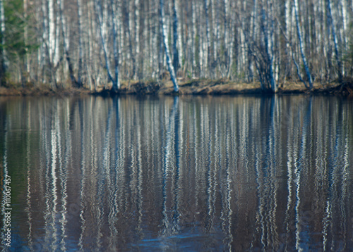 Spring flooding ,Reflection of trees in water