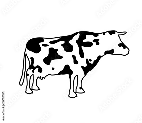 cow