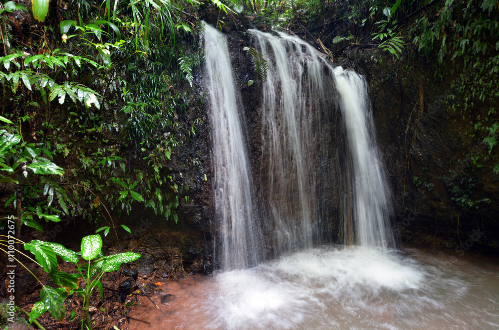 Obraz premium A waterfall in Paronella Park in Queenland Australia