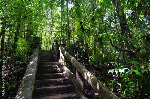 Paronella Park in Queenland Australia