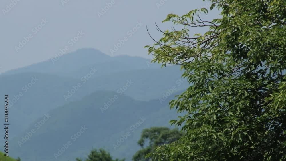 View to the hills with bush branches at the foreground in hot weather in in Gyeongju, Korea. View to the hills with bush branches at the foreground in hot weather in in Gyeongju, Korea.