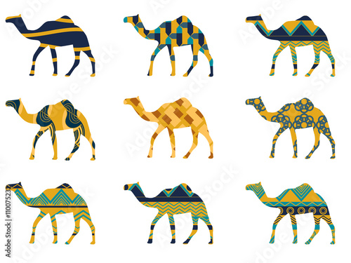 Camel with a pattern. Set of vector illustrations.