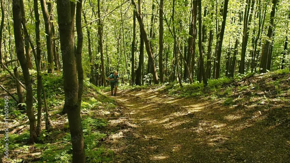 A man with a backpack walk uphill the forest trail .Hiking. A man with a backpack walk uphill the forest trail .Hiking.