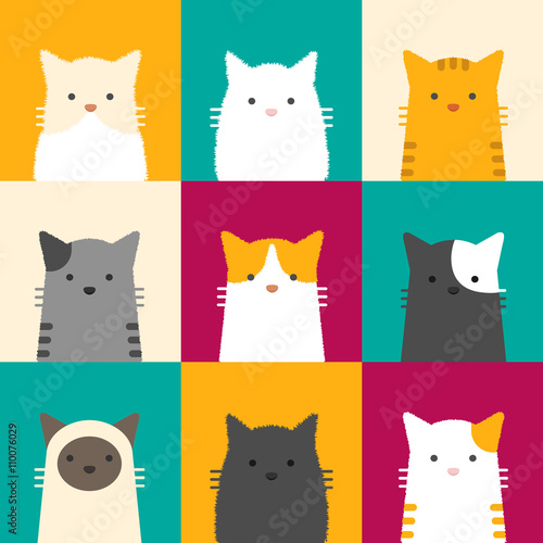 cat portrait