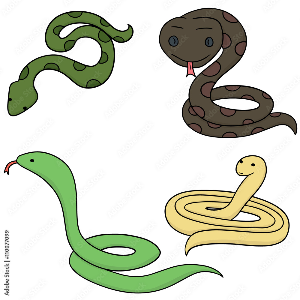 Fototapeta premium vector set of snake