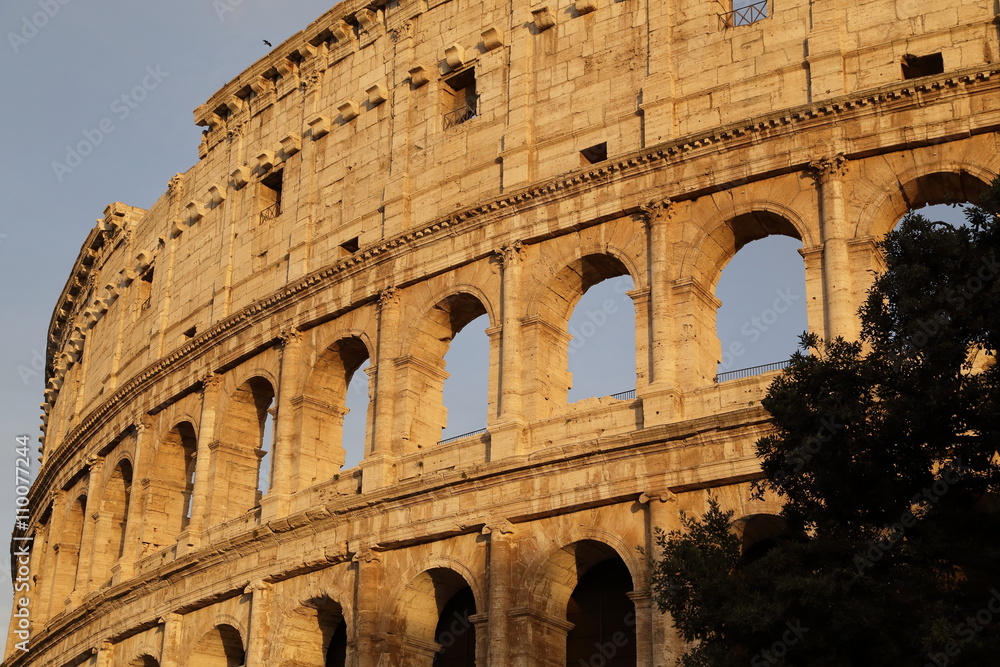 Fototapeta premium Roma - colosseo (particolare)