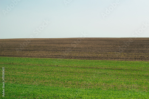 трава, земля, небо