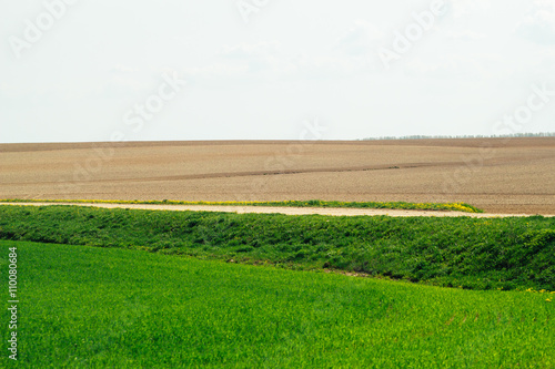 Трава, поля, облака