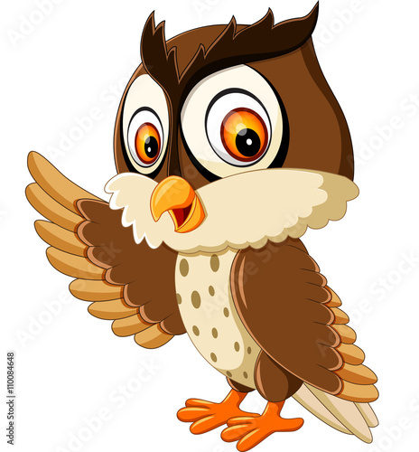 illustration of cute owl cartoon