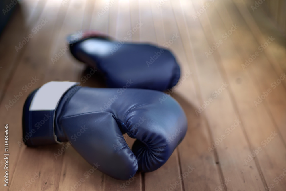 Boxing gloves / Boxing gloves on wood background.
