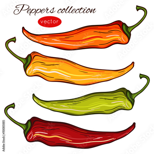 Chili peppers illustrations