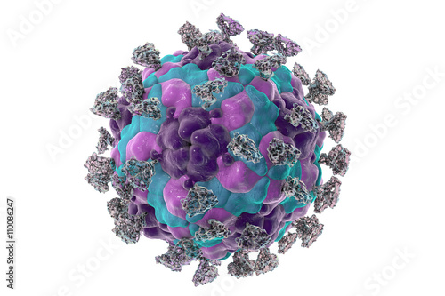 Enterovirus with attached integrin molecules, 3D illustration photo