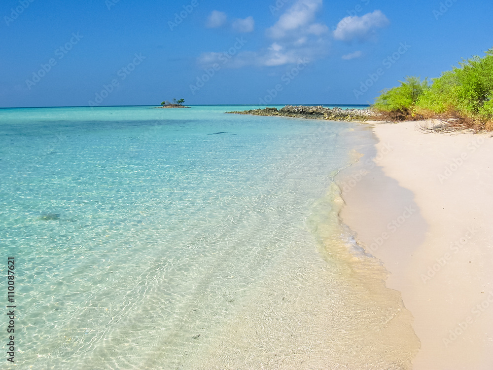 Obraz premium Maldives background, Atoll, Indian Ocean. Palm trees on the white sand beach. Turquoise water of the lagoon. Asdu in Male North.