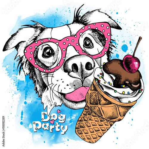Image Portrait of a dog Australian shepherd wearing the glasses with the ice cream. Vector illustration.