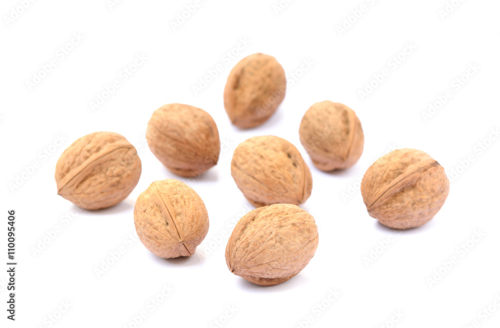 Walnuts in shell isolated on white background Walnuts in shell isolated on white background