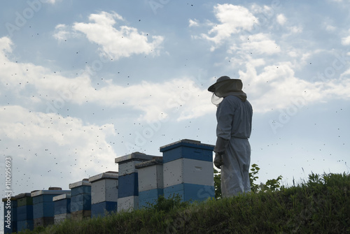 Beekeeper working on Beehives. photo