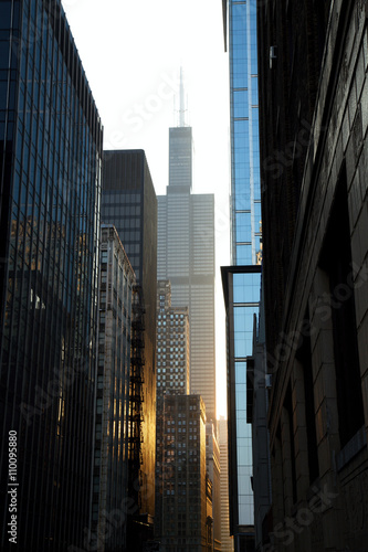 Skyscrapers at Sunset  Chicago Downtown