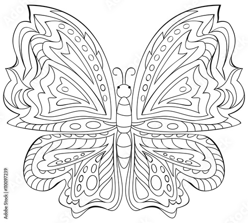 Photography Black and white illustration of butterfly for coloring