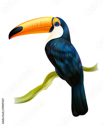 Toucan Sitting On Twig Realistic Image 