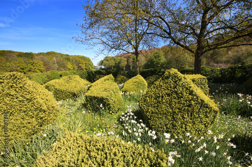 Jardin paysager avec topiaires cubiques photo