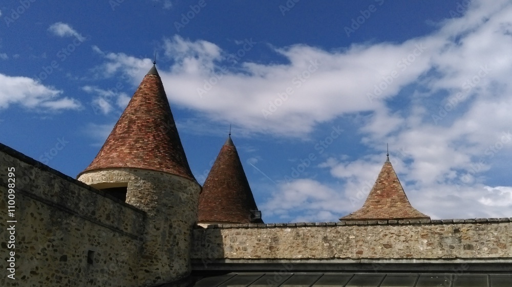 Tourelles de château