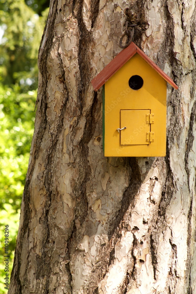 wooden bird house on a centennial pine trunk wooden bird house on a centennial pine trunk