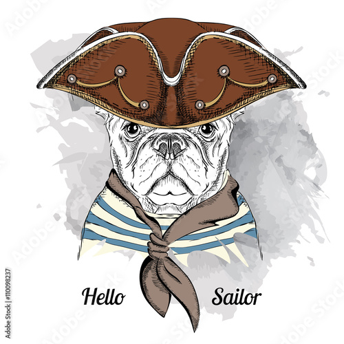 Image Portrait dog in a sailor hat. Vector illustration.