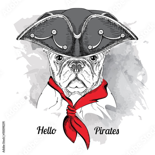 Image Portrait dog in a pirate hat. Vector illustration.