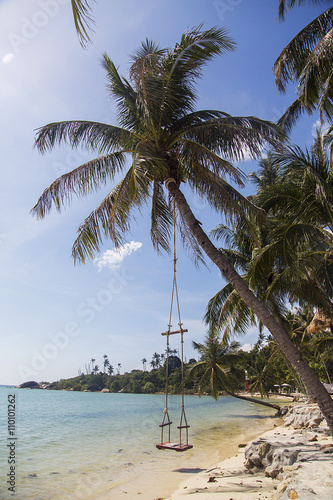 Swing in Ko Pha Ngan in Thailand