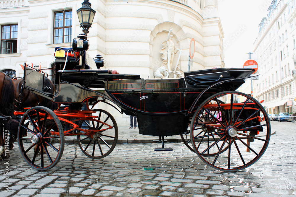 Fototapeta premium Bryczką w pałacu Hofburg w Wiedniu, Austria
