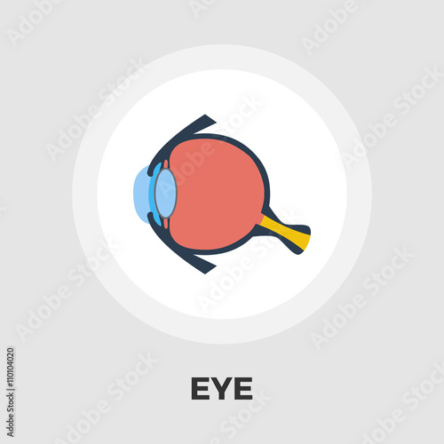 Anatomy eye flat icon