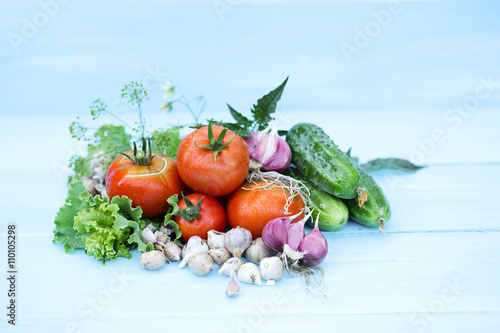 Crop of vegetables.