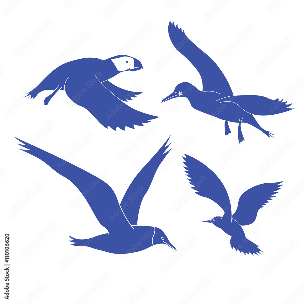 Fototapeta premium The contour of the sea birds. Blue sea birds in flight. Sea birds fly. Set of vector sea birds.
