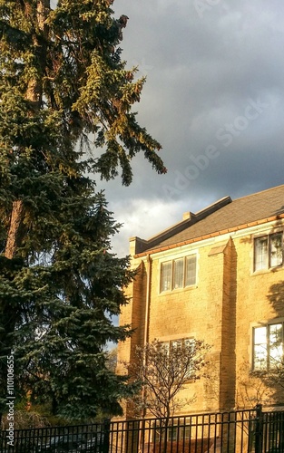Yellow brick building and pine tree with gloomy sky in background