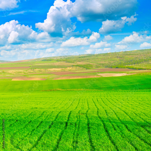 beautiful rural landscape