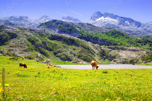  mountains landscape with lake and pasture