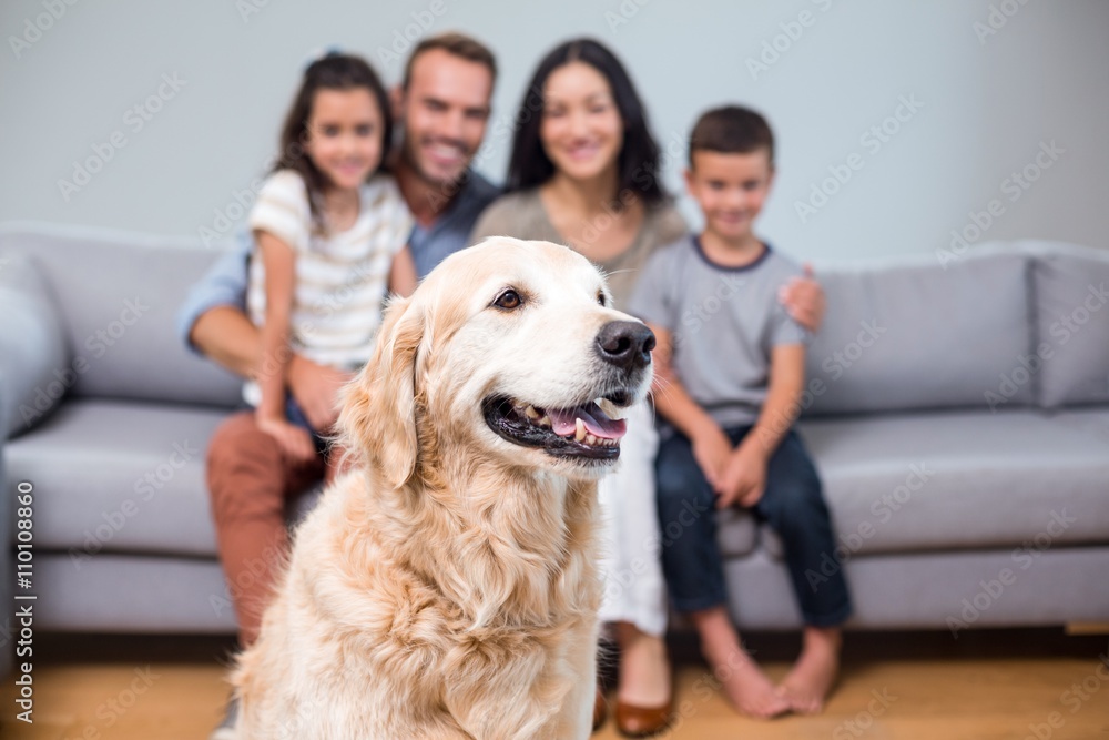 Pet in living room and family sitting on sofa